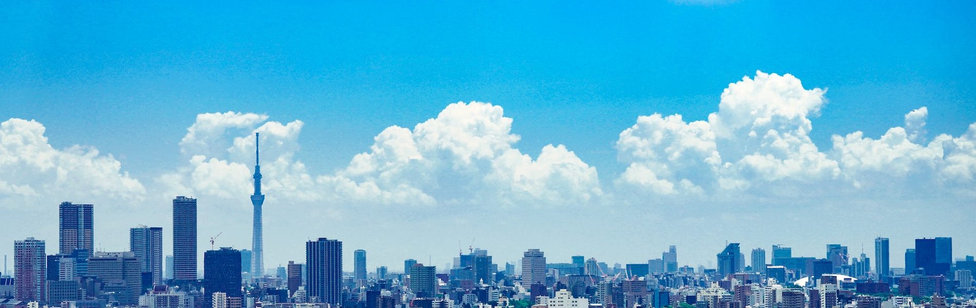 スカイツリーと東京の青空の画像